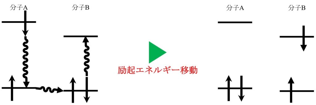 図1. 励起エネルギー移動の図示