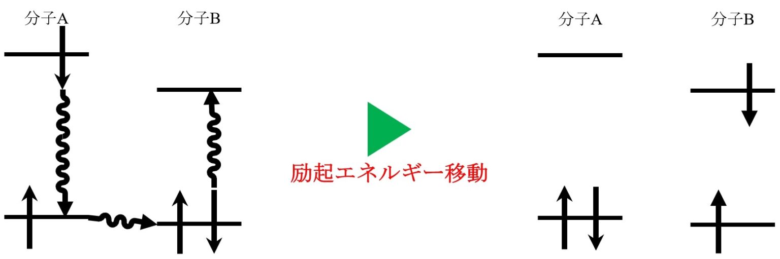 濃度消光とは?蛍光強度が濃度に比例しない理由は? マスケットの大学化学