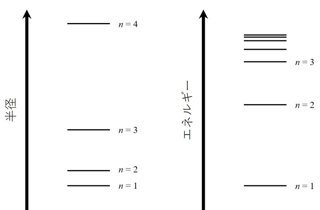 図1. nと半径またはエネルギーの関係