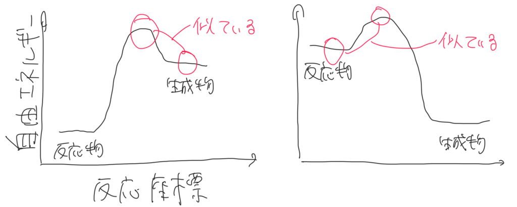 図4. Hammondの仮説の図解